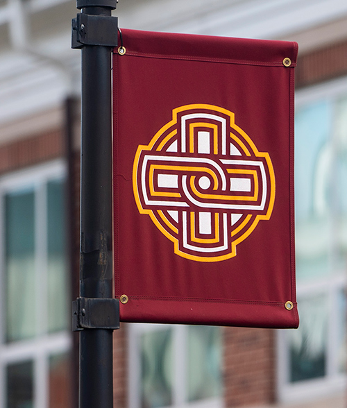 Iona College's new logo on a new banner on a lampost.